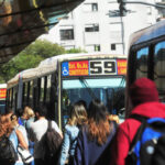 Confirmado: este jueves funcionarán los colectivos en todo el país