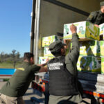 Echeverría: incautaron más de 444 kilos de cocaína escondidos entre bananas