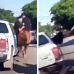 Quilmes: detuvieron a dos jóvenes que estaban robando a caballo